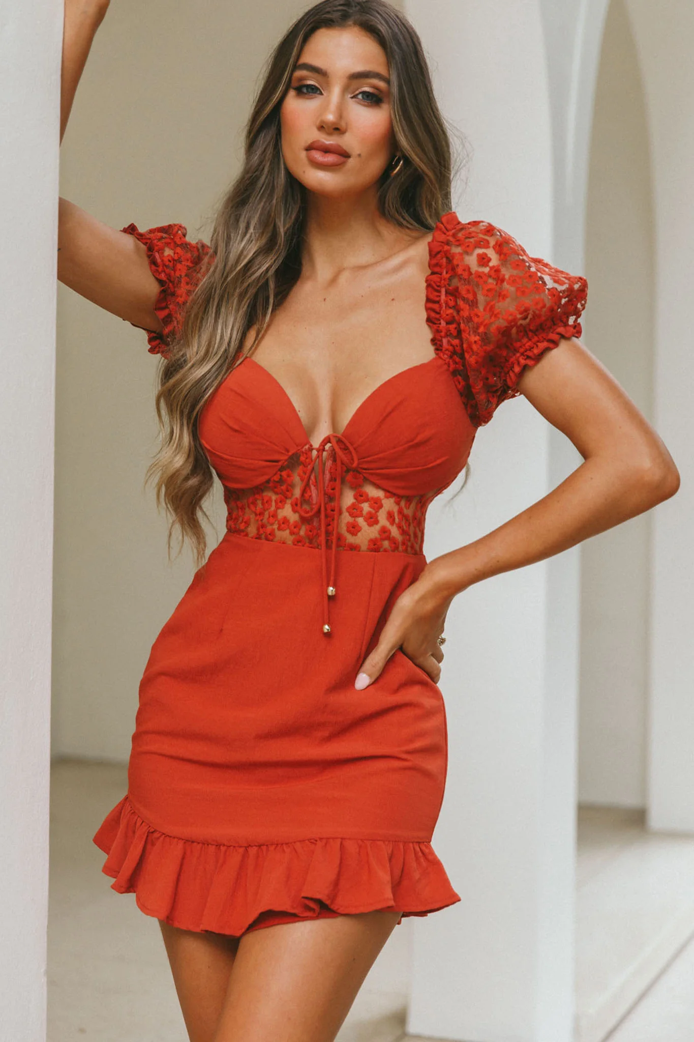 Field Dreams Puff Sleeve Tie-Up Bodice Floral Embroidery Mini Dress Rose - Sonourner